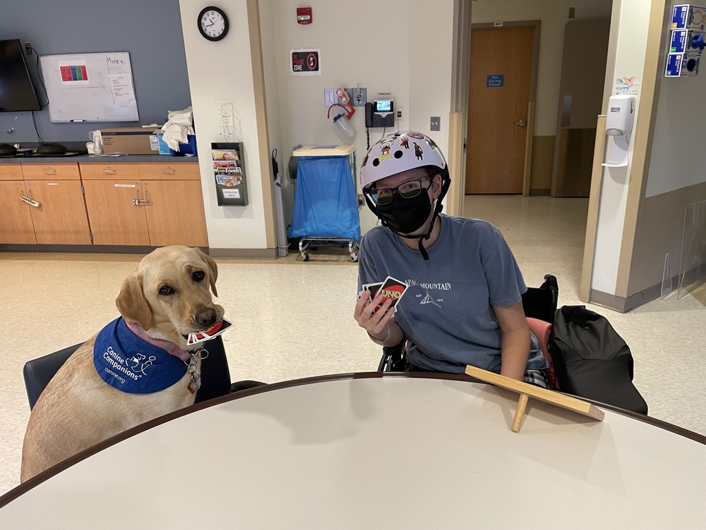 Therapy dog playing card game with patient